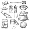 Sea salt. Sketch vintage hand mill with spice and seasoning. Engraved jar, spoon and bags with organic salt crystals for