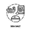 Sea Salt Spice Vector Concept Black Illustrations