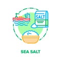 Sea Salt Spice Vector Concept Color Illustration Royalty Free Stock Photo