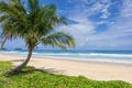 Sea sand beach background Summer beach with sunny sky and coconut tree Phuket island, Thailand Beautiful scene of blue sky and Royalty Free Stock Photo