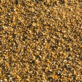 Sea sand beach texture. Nature. Royalty Free Stock Photo