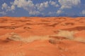 Sea of sand dunes on a desert