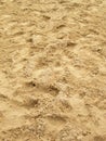 Sea sand with footprints Royalty Free Stock Photo