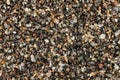 Sea sand Gran Canaria beach, Spain with dark volcanic particles few ocean shell remains visible. Microscope photo, image width Royalty Free Stock Photo