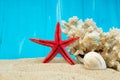Sea sand starfish, coral and pebbles as background. Concept of rest. Top view.