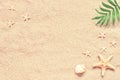 Sea sand with starfish and shells. Top view with copy space Royalty Free Stock Photo