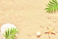 Sea sand with starfish and shells. Top view with copy space Royalty Free Stock Photo