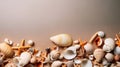 Sea sand with starfish and shells. Top view with copy space Royalty Free Stock Photo