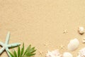 Sea sand with starfish and shells. Top view with copy space. Royalty Free Stock Photo