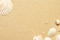 Sea sand with starfish and shells. Top view with copy space. Royalty Free Stock Photo