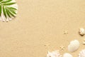 Sea sand with starfish and shells. Top view with copy space. Royalty Free Stock Photo