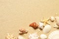 Sea sand with starfish and shells. Top view with copy space. Royalty Free Stock Photo