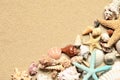 Sea sand with starfish and shells. Top view with copy space. Royalty Free Stock Photo