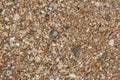 Sea sand texture made of shell and stone pieces. Royalty Free Stock Photo