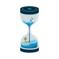 Sea Sandclock and Hourglass