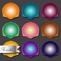 Sea scallop seashell set icon. Vector. Royalty Free Stock Photo