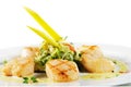 Sea Scallop with Zucchini Spaghetti Royalty Free Stock Photo