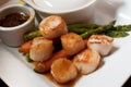 Sea Scallops