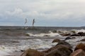 Sea, seagulls and rocks. Power of nature