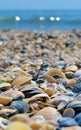Sea and seashells. Beach and seashells close-up on the beach. Sea coast Royalty Free Stock Photo
