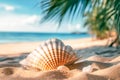 Sea and seashells. A lot of empty shells on the beach, close-up view Royalty Free Stock Photo