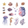 Sea set with watercolor fish, jellyfish, stones, shells, seaweed, sea horse, bubbles, starfish. Hand drawn illustration