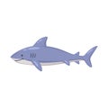 Sea Shark Cartoon Composition