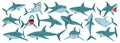 Sea shark vector cartoon set icon. Vector illustration sea fish of shark on white background .Isolated cartoon icon Royalty Free Stock Photo