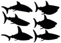 Sharks in different poses in the set. The image can be suitable as a logo or other.