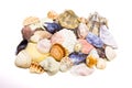 Sea Shell Background Royalty Free Stock Photo