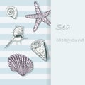 Sea shell background 4 Royalty Free Stock Photo