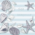 Sea shell background 5 Royalty Free Stock Photo