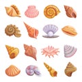 Sea shell beach icons set, cartoon style