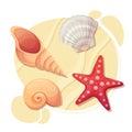 Sea shell on a beach sand. Starfish and different seashells top view. Collection set. Vector illustration isolated on white Royalty Free Stock Photo