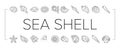 sea shell beach summer ocean icons set vector Royalty Free Stock Photo
