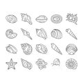 sea shell beach summer ocean icons set vector Royalty Free Stock Photo