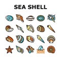 sea shell beach summer ocean icons set vector Royalty Free Stock Photo
