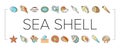 sea shell beach summer ocean icons set vector Royalty Free Stock Photo