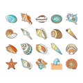 sea shell beach summer ocean icons set vector Royalty Free Stock Photo