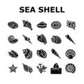 sea shell beach summer ocean icons set vector Royalty Free Stock Photo