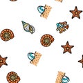sea shell beach summer ocean vector seamless pattern Royalty Free Stock Photo