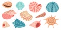 Sea shell, sink cartoon set. flat design illustration Royalty Free Stock Photo