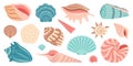 Sea shell, sink cartoon set. flat design illustration Royalty Free Stock Photo