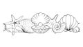 Sea shell close up seamless horizontal border. Vector graphic line ink pattern, summer background, great for textiles, banners, Royalty Free Stock Photo