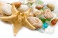 Sea shell collection Royalty Free Stock Photo