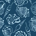 Sea shell design - seamless pattern Royalty Free Stock Photo