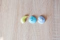 Sea shell dessert.summer vacation on beach. meringue top view background. green and blue color candy. whipped egg white sweets. ma Royalty Free Stock Photo