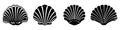 Sea shell icon. Set of black pearl shell icons. Shell vector icons Royalty Free Stock Photo