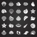 Sea Shell icons set on black background for graphic and web design. Simple vector sign. Internet concept symbol for Royalty Free Stock Photo