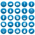 Sea shell icons set vetor blue Royalty Free Stock Photo